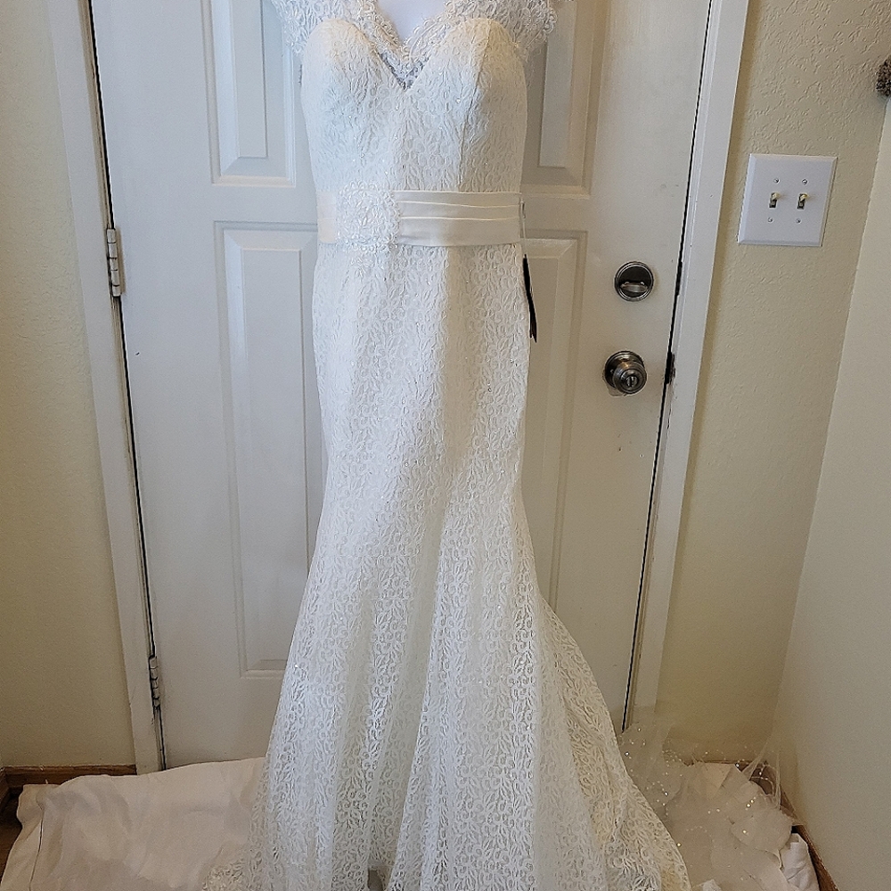 Stunning NWT Lace Mermaid Wedding Dress
